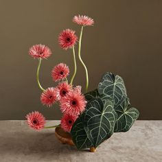 pink flowers and green leaves in a wooden vase