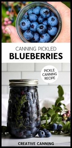 blueberries in a jar with text overlay that reads canning picked blueberries pickle cooking recipe