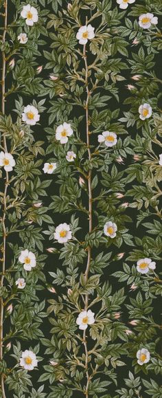 a wallpaper with white flowers and green leaves on a black background that looks like fabric