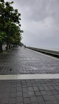 an empty walkway with trees and people walking on the sidewalk near the water under a cloudy sky