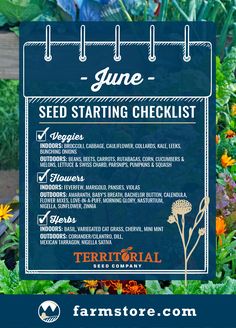 a blue sign that says seed starting checklist in front of some flowers and plants