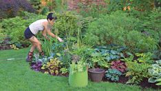 a man is watering plants in the garden