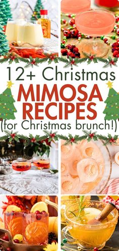 These Christmas Mimosas are the best Christmas morning mimosas to make for Christmas brunch. These recipes are all easy and fun holiday mimosas that are great for a crowd. Try a cranberry mimosa or a green grinch mimosa. You can use either champagne or prosecco and you can serve these in individual flutes with a mini ornament for decor or in a pitcher or punch bowl. If you want to set up a Christmas bar for a party, you’ll find some great Christmas mimosa ideas in this list! Mimosa Christmas Drink, Cranberry Orange Mimosa Taste Of Home, Mimosa Christmas Bar, Christmas Mimosa Mocktail, Christmas Brunch Cocktails Drinks, Christmas Brunch Mimosa Bar, Sugar Plum Mimosa Recipe, Cranberry Mimosa Champagne, Champagne Mimosa Recipes