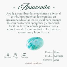 the back cover of an amazonia book, with text in spanish and english on it