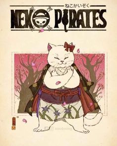 an image of a cat that is in front of a poster with the words neko pirates on it