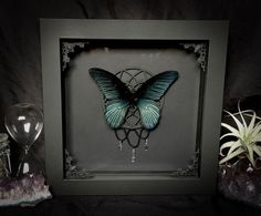 a blue butterfly sitting on top of a shadow box next to some glass vases