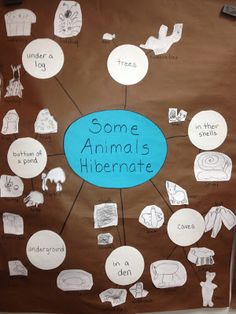 a bulletin board with some animal's names and pictures on it, along with scissors