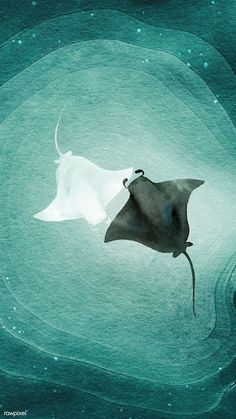 a manta ray swims through the water in an underwater scene with bubbles around it