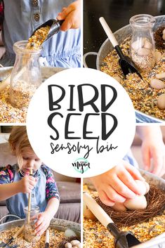 Animal Sensory Bin Preschool, Pets Sensory Bin, Bird Sensory Activities, Pet Sensory Bin, Bird Sensory Bin, Seed Sensory Bin, Rice Cupcakes, Spring Sensory Bin, Preschool Pets