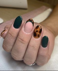 Hair Stylist Nails, Short Biab Nail Designs Autumn, Nails 2024 Autumn Trends, Autumn Biab, Autumn Biab Nails, October Nails Ideas, Africa Nails, Nail Painting Ideas, Tortishell Nails Design