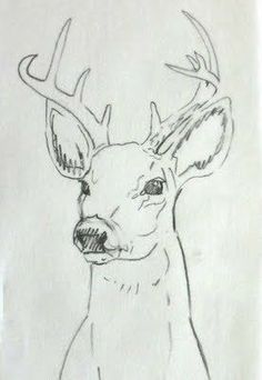 a drawing of a deer's head with lines in the background