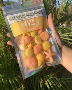 Feliz fin de semana para todos ☀️Wax melts aromáticos 🕯️inspirados en ☀️Sol de Janeiro BRAZILIAN BUM BUM, aroma pistacho y caramelo salado, riquísimo 🥰 🏝️La bolsita incluye 80gr 🏝️Aroma- sol de janeiro brazilian bum bum type 🏝️Hechos a mano con cera de soya y fragancias premium 🏝️$125 pesos 🏝️Pedidos por mensaje 💌 📍Bunker colectivo, plaza estrella en Montecarlo Obx Lifestyle, Boo Gift, Cute Christmas Ideas, Sugar Body Scrub, Body Skin Care Routine, Perfume Collection, Holiday Specials, Body Skin