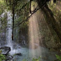 the sun shines through the trees over a small waterfall in the jungle, surrounded by rocks and greenery