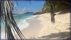 a sandy beach with palm trees and boats in the water