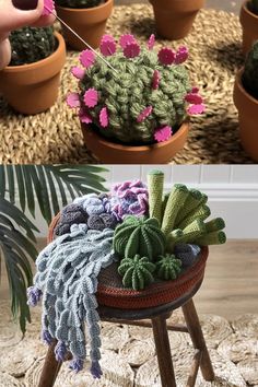 crochet cactus plant pot holders with pink flowers on top and green plants in the bottom