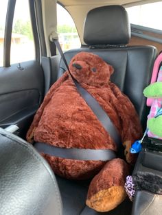 a teddy bear sitting in the back seat of a car next to other stuffed animals