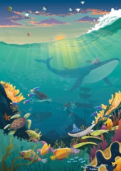 an underwater scene with many different types of animals