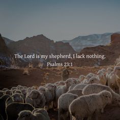 the lord is my shepherd, i lack nothing he has to do with his sheep