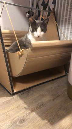 a cat sitting in a cardboard box on the floor with its head hanging from it's side