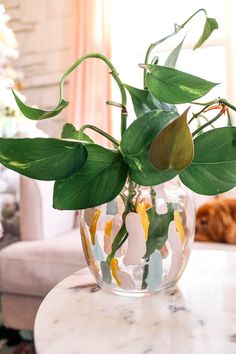 a plant in a glass vase sitting on a table next to a couch and chair