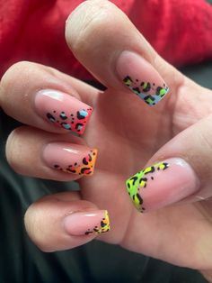 Summer Leopard Nails Short, Rainbow Leopard Print Nails, Leopard Nails Summer, Colourful Leopard Print Nails, Leopard Print Summer Nails, Rainbow Leopard Nails, Neon Leopard Print Nails, Colorful Leopard Nails, Bright Animal Print Nails