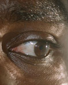 Eye Study, A Nightmare On Elm Street, Interview With The Vampire, Eye Photography, Nightmare On Elm Street, Borderlands, Black Mirror, Hazelnut, Horror Movies