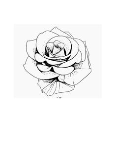 a black and white drawing of a rose