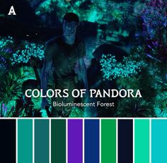 the color scheme for colors of pandara is shown in blue, green and purple