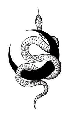 a black and white drawing of a snake