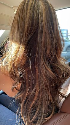 Honey Toned Highlights, Natural Highlights In Brown Hair, Brunette Hair Golden Highlights, Olive Undertone Hair Color, Wavy Hair Dye Ideas Highlights, Sun Bleached Brown Hair, Solid Color Hair Ideas Brown, Sun Bleached Hair Brown, Sun Kissed Dark Brown Hair