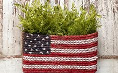 an american flag potted in front of a white wooden wall with grass growing inside