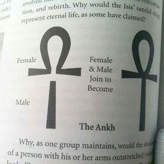 an open book with two symbols on it's pages and the words female and male in different languages