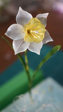 a single white and yellow flower in a vase