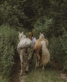 two horses walking down a dirt path in the woods next to bushes and trees, with a woman on one side