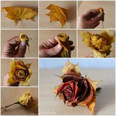 the process of making a flower out of leaves