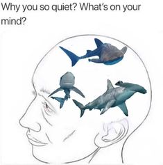 a man's head with sharks in it and the caption says, why are you so quiet? what's on your mind?