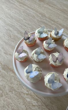 cupcakes with white frosting and blue butterfly decorations on a pink platter