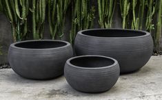 three large black planters sitting next to each other