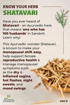 The Most Trusted and Recognized Ayurveda Platform in North America and Australia, Your One-Stop Shop for All Things Ayurveda! Customized to your Dosha or Body Type, enabling the most personalized Ayurveda Experience. Free Shipping to most parts in the world for orders over 28 USD! Shatavari Benefits, Estrogen Balance, Wild Asparagus, Breast Milk Production, Sperm Health, Low Estrogen Symptoms, Too Much Estrogen, Low Estrogen, Sperm Count