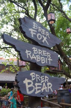 wooden signs pointing in different directions on a tree