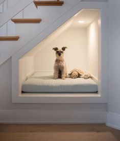 a small dog sitting on top of a bed in a room under the stair case