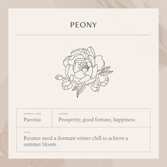 the front page of a website with an image of a peony flower on it