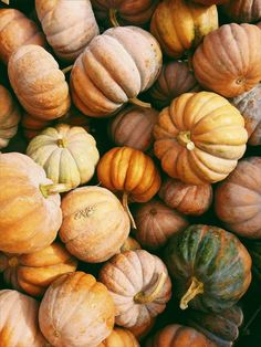 A fresh harvest of seasonal pumpkin. Apple Pumpkin Butter fragrance oil for soap and candle making. Fall Essential Oil Blends, Free Fall Wallpaper, Fall Essential Oils, Pumpkin Wallpaper, Pumpkin Pictures, Pumpkin Chili, Fruit Orange, Growing Pumpkins, Thanksgiving Images