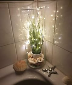 a potted plant with lights in it sitting on top of a bathtub next to a starfish