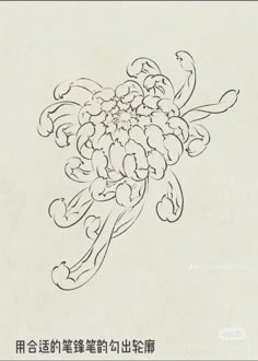 a drawing of flowers with chinese writing on the bottom and lower half of the image