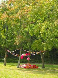 an outdoor party setup in the middle of some trees