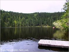 a wooden dock sitting in the middle of a lake next to a lush green forest