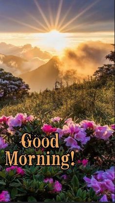 the words good morning are written in front of pink flowers and mountain range with clouds