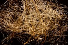 some brown and yellow hair on top of each other in the dark room with black background