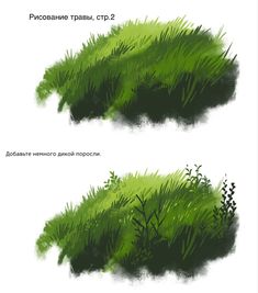 two different views of the grass and plants in russian language, each with their own name